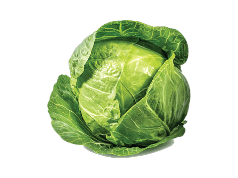 Sveži mladi kupus 1 kg