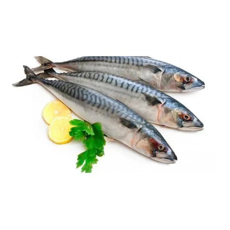 Principal smrznuta skuša 1kg