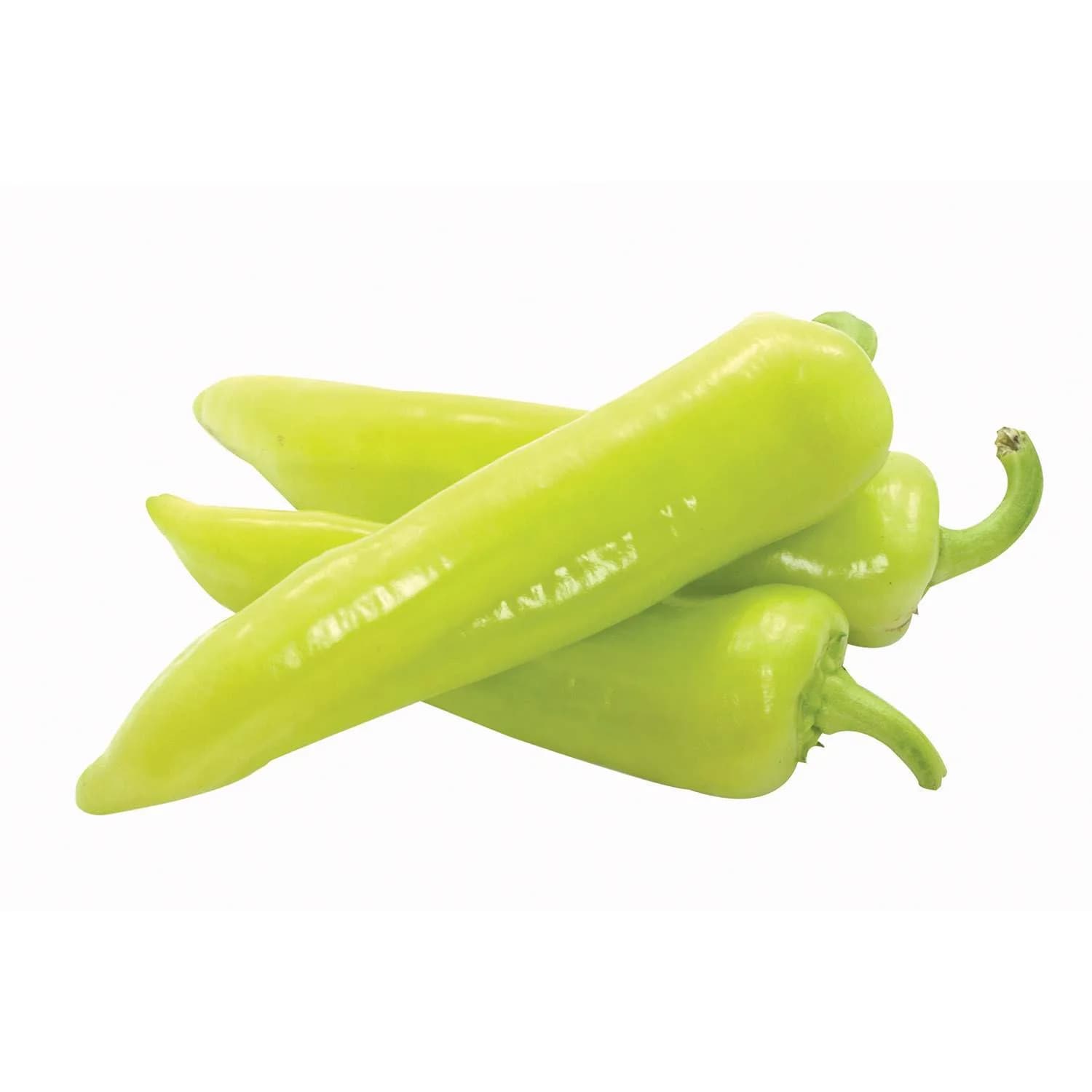 Paprika šilja