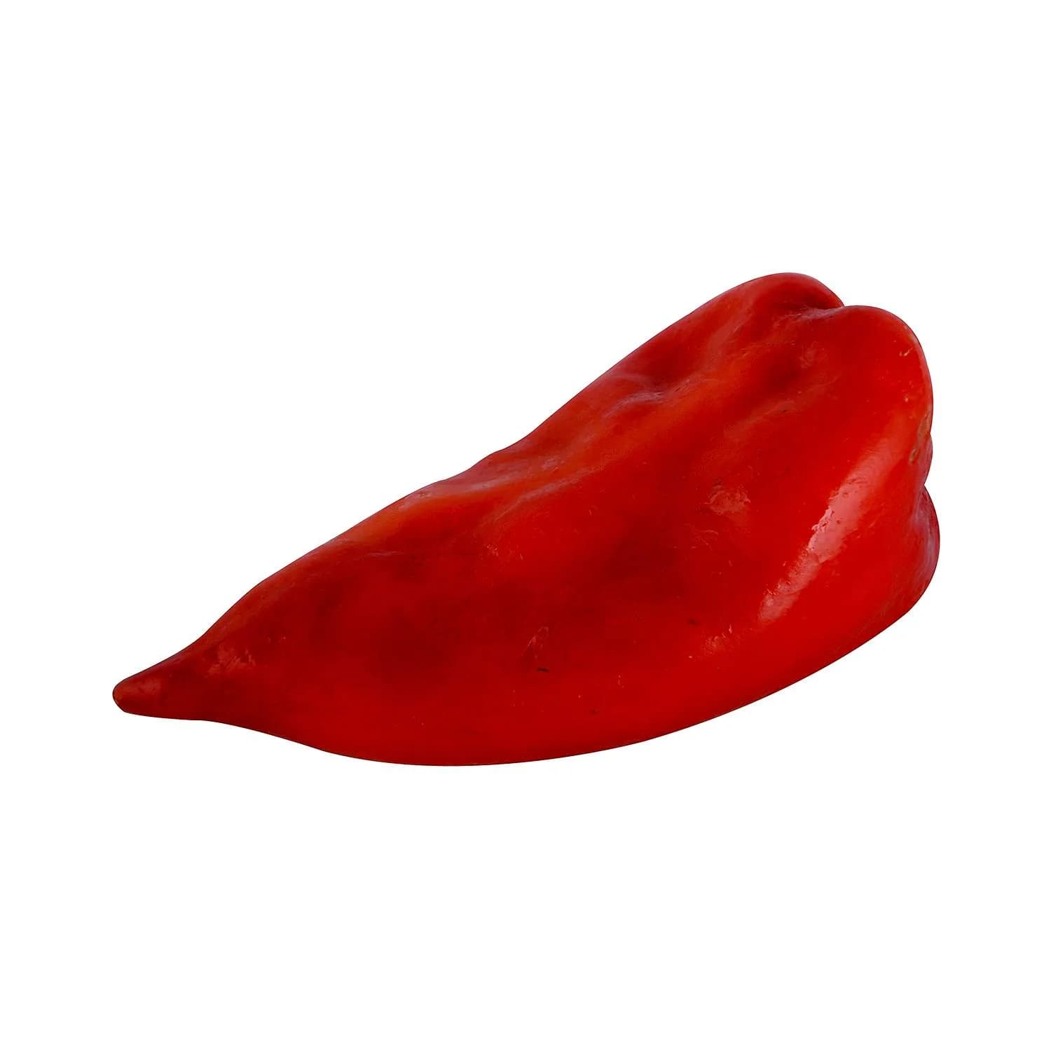 Crvena paprika šilja