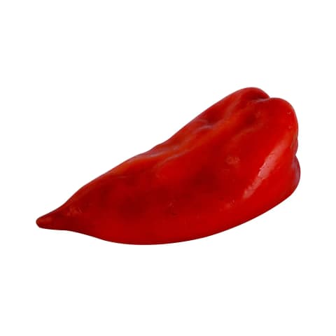Crvena paprika šilja